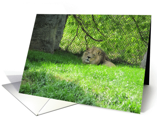 Smiling Lion--Missing You
 card (804028)