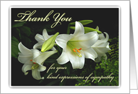 Thank You for Your Sympathy, White Lilies, Thanks for Condolences card