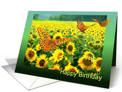 Happy Birthday Butterflies over Sunflower Field card (1144230)