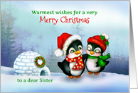 To Sister, Merry Christmas Penguins in Snow with Igloo & Wreath card