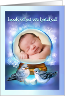New Year Baby Announcement for New Year, Custom Photo Front card