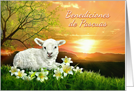 Benediciones de Pascuas, Easter Blessings in Espanol, Spanish Lamb card