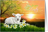 Joy to You at Easter, Lamb and Lilies at Sunrise Happy Easter Lamb card