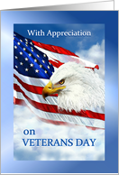 Happy Veterans Day Thank You to Veteran, American Flag & Eagle card