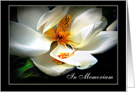 Memorial Service Funeral Invitation, In Memoriam Magnolia Flower card