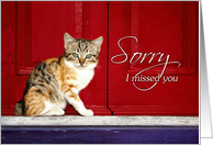 Business Sales Solicitation Sorry I Missed You with Cat at Red Door, card