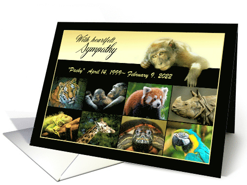 Sympathy for the Loss of Zoo Animal, Monkey and Animals, Custom card