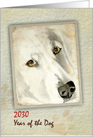 Happy Chinese New Year of the Dog 2030 White Dog Golden Eyes card