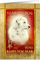 Happy Chinese New Year of the Dog 2030 White Dog on Red & Gold card