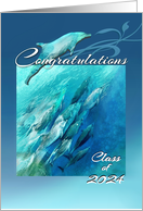 Graduation Congratulations Class of 2024 Blue Dolphins for Graduate card