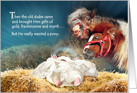 Christmas Ponies with Baby Jesus in Manger Funny Christmas Pony card