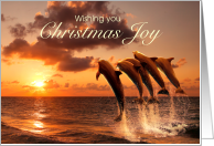 Christmas Dolphins Leaping for Joy card