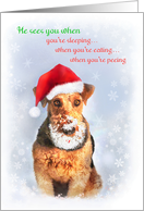 Christmas Humor with Airedale Dog in Snow Beard and Santa Hat card