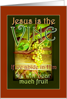 Christian Confirmation Congratulations Jesus is the Vine Abide in Him card