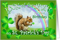 Happy Birthday on St. Patrick’s Day Squirrel & Shamrocks & Rainbow card