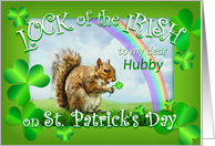 Happy St. Patrick’s Day to my Hubby, Lucky Squirrel for Husband card