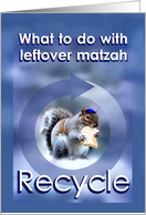 Happy Passover Squirrel, Recycling Leftover Passover Matzah card