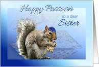 Happy Passover to Sister Cute Squirrel with Matzah & Kippah card