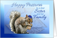 Happy Passover Squirrel to Sister & Her Family Humorous Passover card