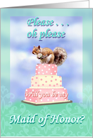 Maid of Honor, Cute Squirrel card