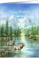 Happy Birthday to a Wonderful Brother with Elks & Mountain Lake card