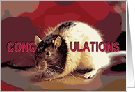 Congratulations, Pet Rat Cong-RAT-ulations Card