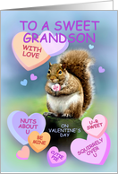 For Grandson, Cute Squirrel Valentine, I Wuv U card