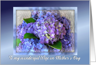 Happy Mother’s Day to Wife from Husband Blue Hydrangeas on Lace card
