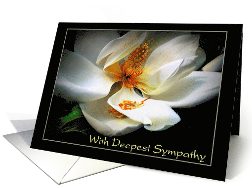 Deepest Sympathy with Condolences Magnolia in Bloom card (946391)