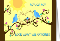 Baby Bird in Tree Singing Birds Announce Baby Boy card