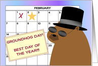 Best Day of the Year! Spotlight on Me!!! - Groundhog Day card