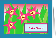 I Am Sorry! - Crazy Colored Flowers card