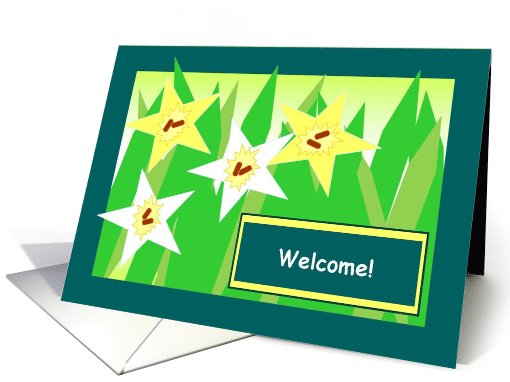Welcome! - Yellow & White Star Daffodils card (800652)