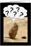 ????? Prairie Dog Perplexed - Groundhog Day Card