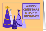 Merry Christmas & Happy Birthday! card