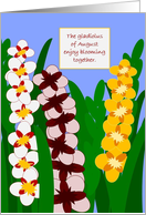 August Gladiolus Birthday Card
