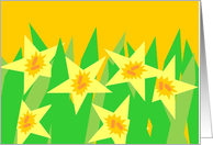 Daffodils Welcome Home Graphic Design card