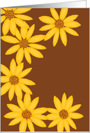 Girl Scout Calendula Congratulations card