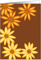 Calendula Apologies card