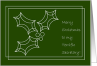 Terrific Secretary - Simple Merry Christmas & Happy New Year card