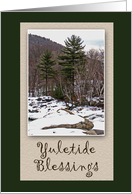 Yuletide Blessings-Happy Winter Solstice-Evergreen Tree card