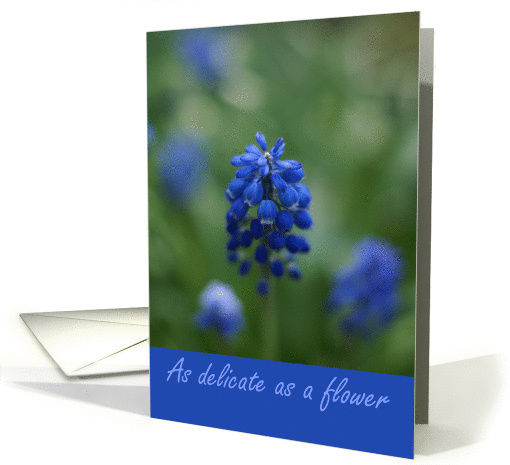 Happy Birthday Palindrome 11-11 Delicate Flower card (832352)