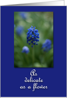 Happy Birthday Partner celebrating together- Grape Hyacinth card