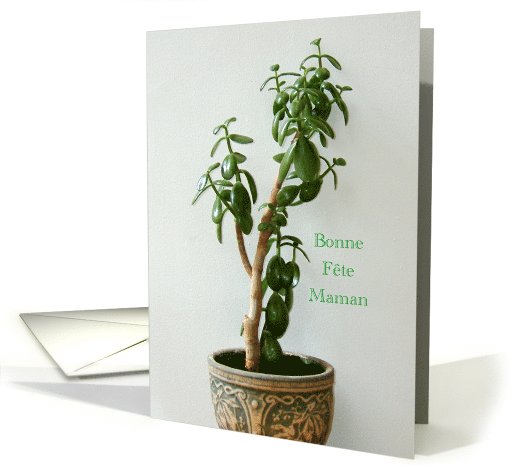 Bonne Fte Maman Jade Plant Photo card (788125)