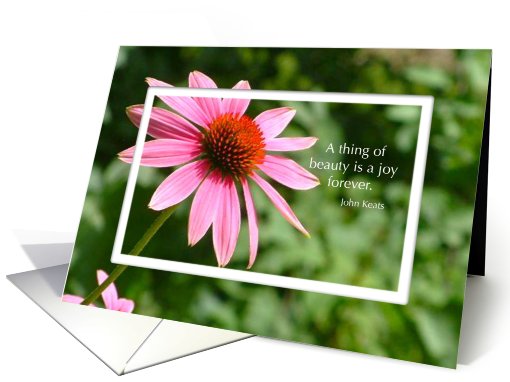 Thank You Dear Friend Echinacea Beauty and Joy card (794359)