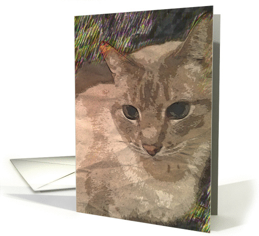 Artistic color pencil style cat - blank inside card (1087034)