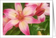 Striking lilies in bloom birthday card