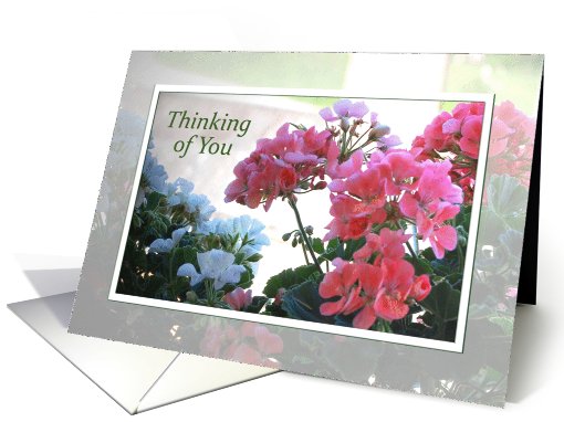 Thinking of You - floral card (788096)