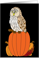 Mabon Blessings Owl on Pumpkins card