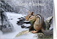 Merry Christmas Chipmunk in a Snowy Forest card